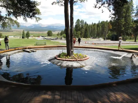 An outdoor pool with a tree in the center and mountains in the background.