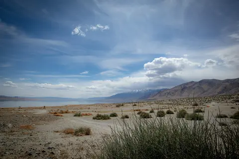 Walker Lake Recreation Area shoreline.
