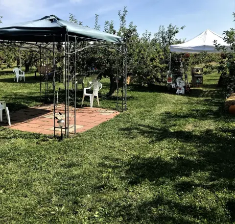 A shaded patio area with canopies set up in an orchard.