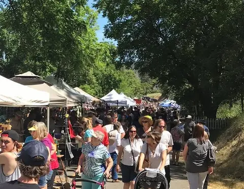 A crowded outdoor market with tents and trees lining the path.