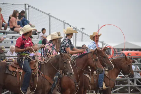 Several people on horseback hold ropes in an arena with spectators in the background.