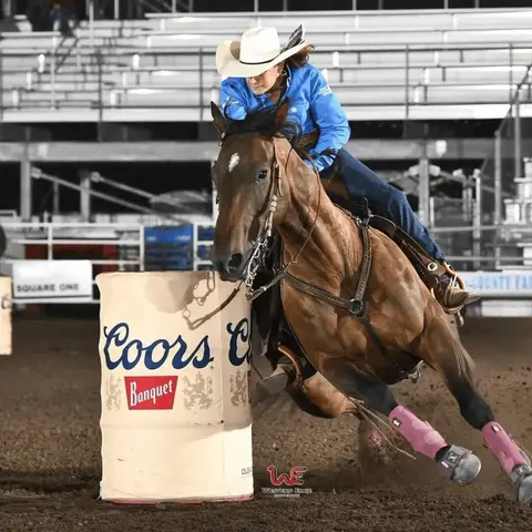 A cowgirl rides a horse sharply turning around a barrel in an arena.