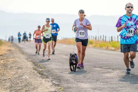 People and a dog running on a paved road during a race.