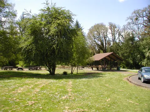 A grassy park with picnic tables, trees, and a shelter.