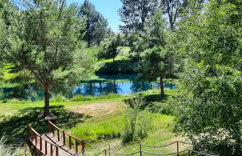 A scenic view of a tranquil pond surrounded by lush trees and greenery with a small wooden bridge in the foreground.