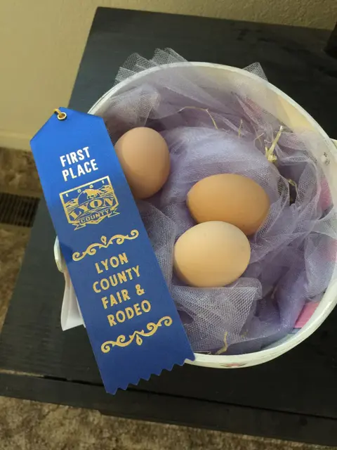 A first place ribbon sits next to a basket of eggs.