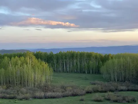 A scenic landscape view of a green valley surrounded by tall trees and distant mountains under a cloudy sky.