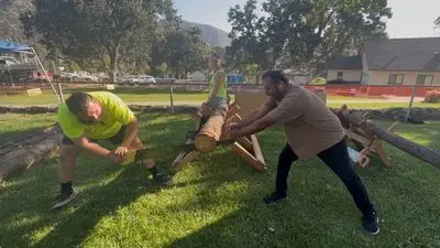People saw a log outdoors on the grass.