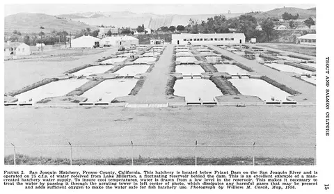 A black and white photograph shows a fish hatchery with rows of outdoor raceways and buildings.
