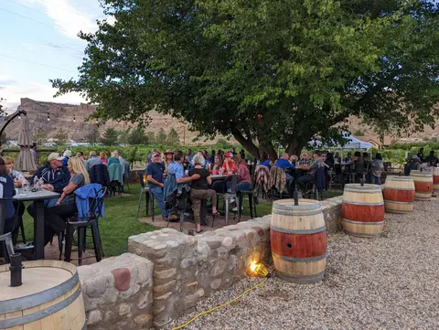 People gather at outdoor tables under a large tree near a vineyard.