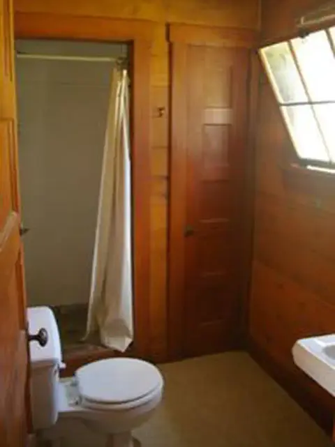 A rustic bathroom interior featuring wood walls, a toilet, and a shower.
