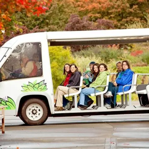Passengers ride on an open-sided tour vehicle outdoors.