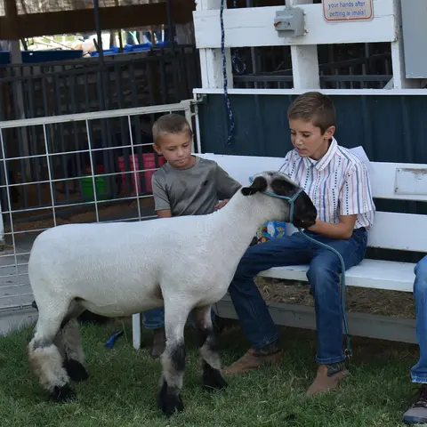 Two boys pose with a sheep by a pen.
