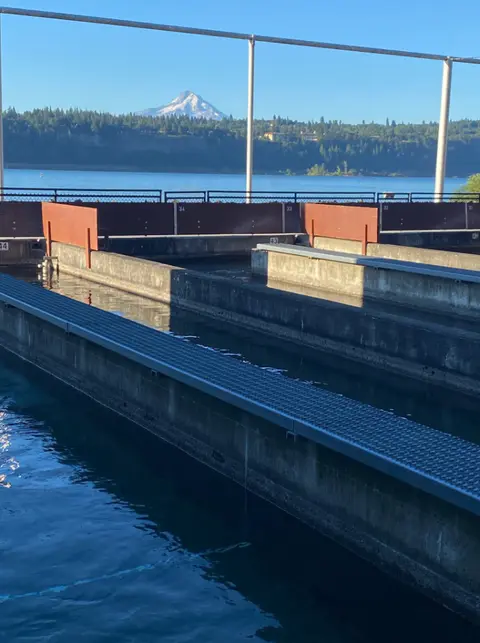 A view of concrete fish raceways with a snowy mountain and water in the background.