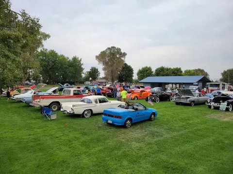 A car show held on a grassy park with many classic and vintage cars parked.