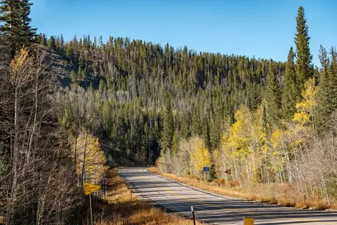 Snowy Range Scenic Byway near Centennial.
