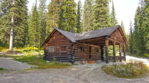 A rustic log cabin stands surrounded by tall evergreen trees.