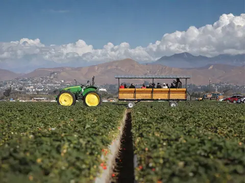 A tractor pulls a wagon full of people through a field.