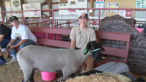 Two youths pose with a sheep inside a barn.