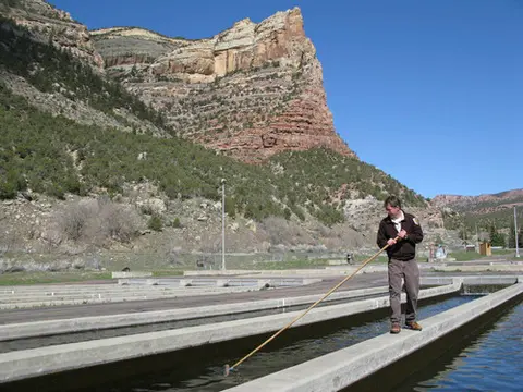 A person works at outdoor concrete fish raceways with a large cliff in the background.