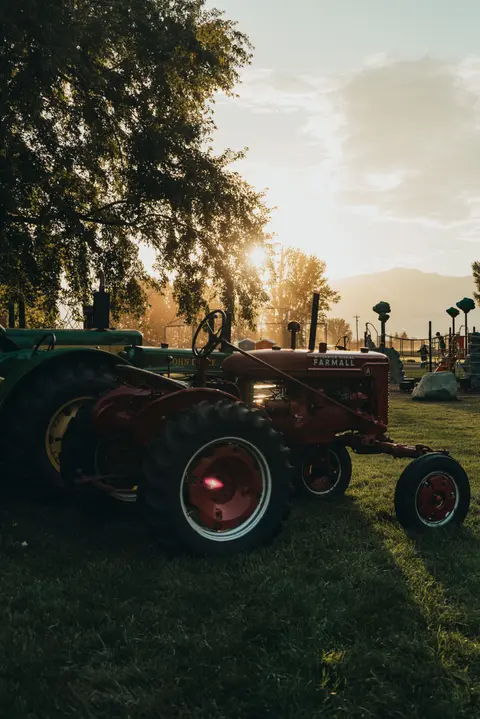 Two vintage tractors are parked on a grassy field during sunrise.