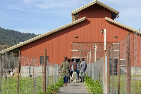 People walking along a fenced pathway toward a red barn.