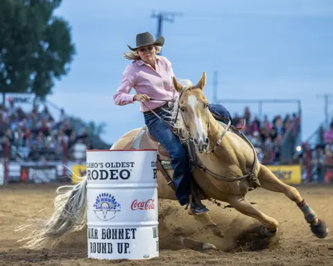 A cowgirl rides a horse around a barrel at a rodeo.
