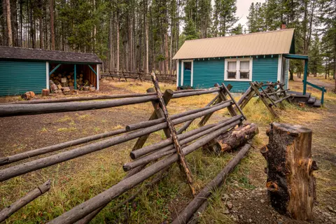 A rustic wooden cabin and a woodshed stand surrounded by a forest.