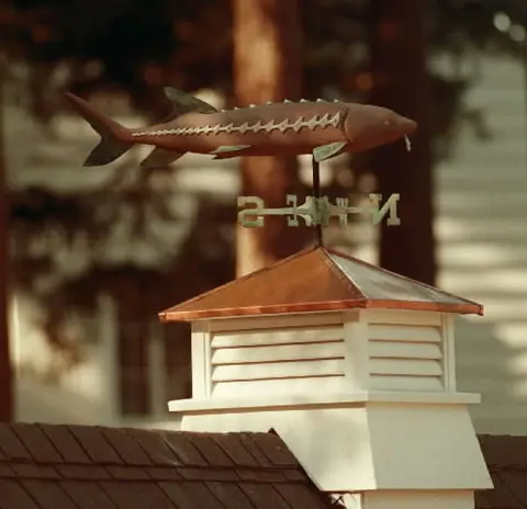 A fish-shaped weathervane is mounted on a small cupola on a roof.