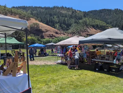An outdoor market with tents and vendors set up on a grassy field against a mountain backdrop.