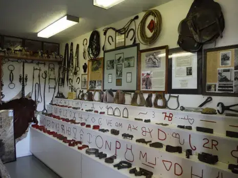 A museum display of western tack, branding irons, and historical photographs inside a building.