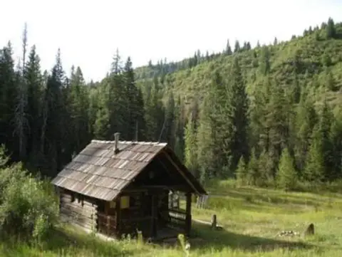 A small wooden cabin in a forest clearing.