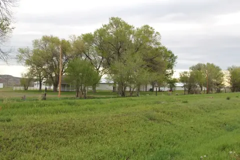 A grassy field with a row of trees and white buildings in the background.
