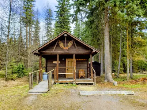 A wooden cabin sits surrounded by tall pine trees.
