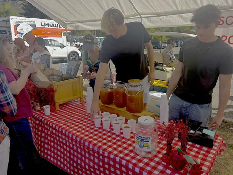 People working at a food stand with a red and white checkered tablecloth.