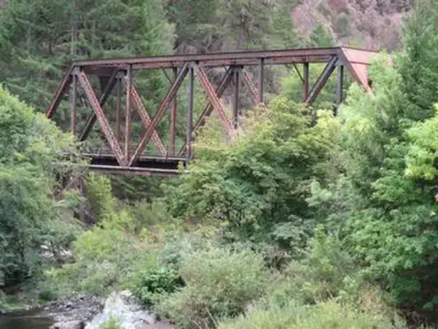A metal truss bridge stands amid lush green trees and foliage.