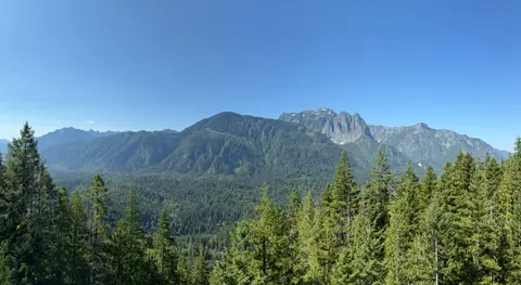 A panoramic view of a mountain range behind a dense forest under a clear blue sky.