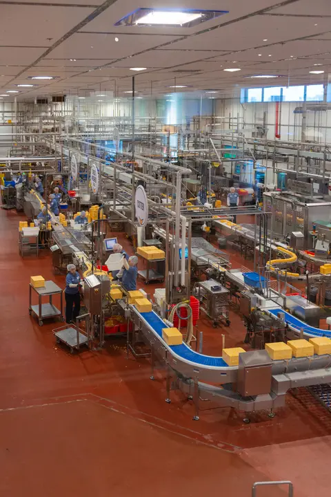 Cheese packaging line, Tillamook Creamery.