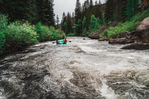 People whitewater rafting on a river through a forest.