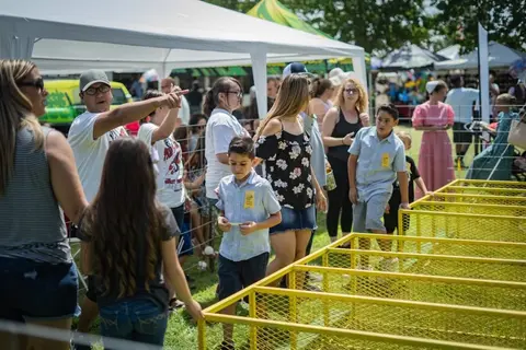 A crowd of people gathers near yellow metal pens at an outdoor event.