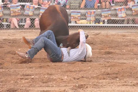 A cowboy wrestles a steer in an arena.
