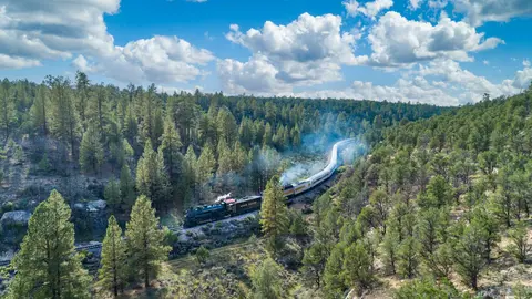 A train travels through a dense forest under a cloudy sky.