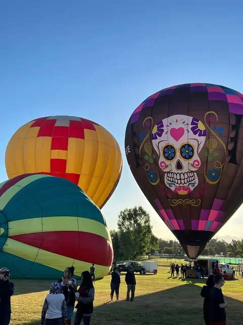 Hot air balloons stand on a grassy field with spectators nearby.