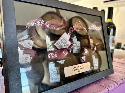 A framed display case holds numerous wine competition medals and ribbons.