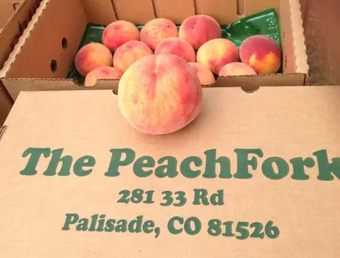 Fresh peaches in cardboard boxes.