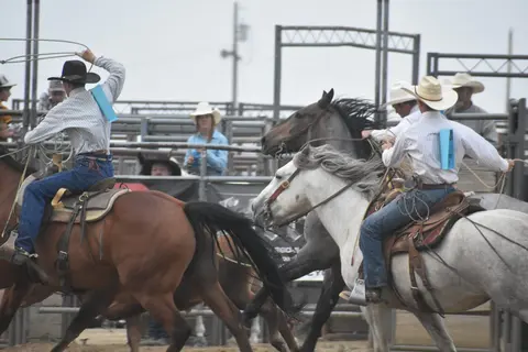 Cowboys ride horses in an arena during a rodeo event.