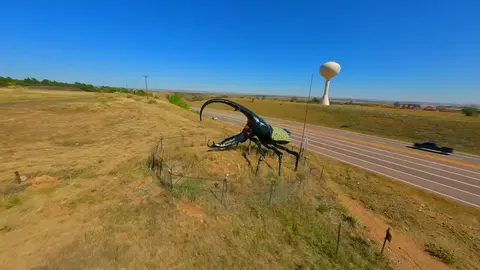 An aerial photo of a large beetle statue next to a highway in a landscape.