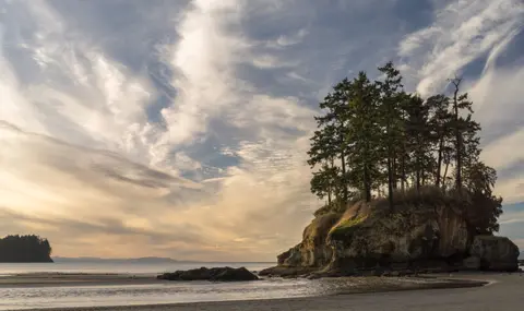 A scenic view of a tree-covered rock islet on a sandy beach under a dramatic cloudy sky.