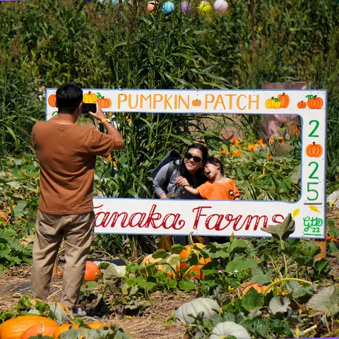 A man takes a photo of a woman and child posing behind a pumpkin patch sign.