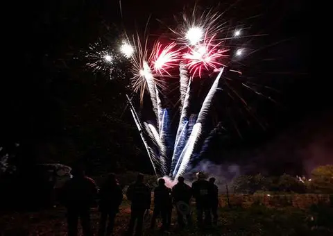 People watch fireworks lighting up the night sky.